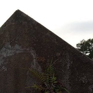 Meet your Posher, Kris